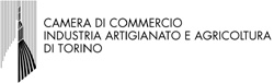 Cciaa di torino